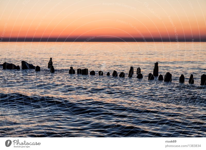 Baltic coast Relaxation Vacation & Travel Beach Ocean Nature Landscape Water Clouds Coast Baltic Sea Wood Blue Red Romance Idyll Calm Tourism groynes Sunset Sky