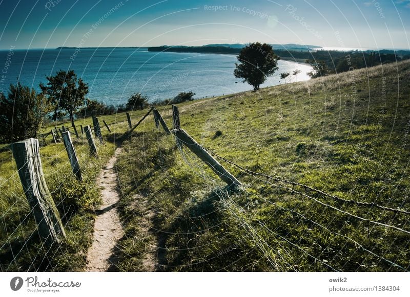 Mönchgut, Rügen Environment Nature Landscape Plant Elements Water Cloudless sky Horizon Climate Weather Beautiful weather Tree Grass Meadow Hill coast