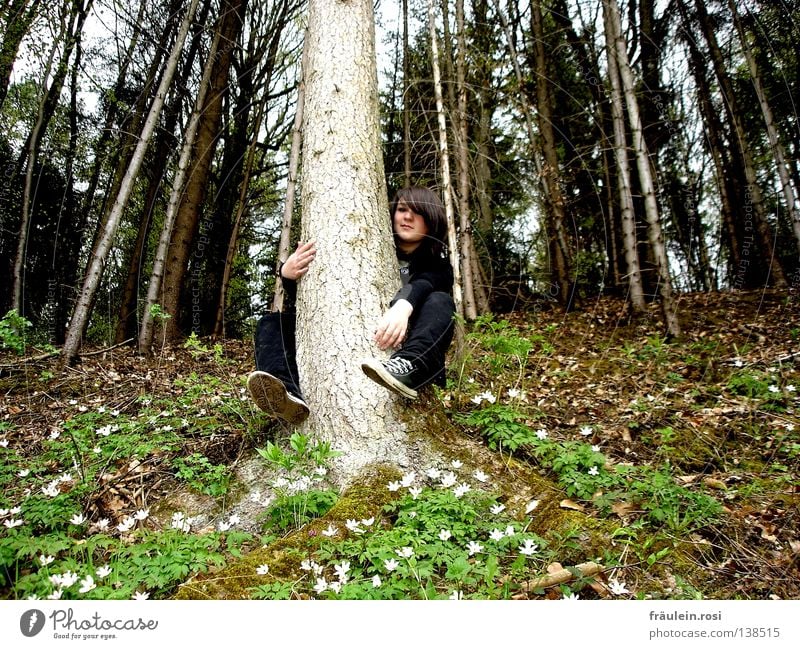 dignified she chills... Tree Tree bark Spring Forest Like Cozy Flower Steep Chucks Fir tree Leaf Bad weather Shadow Easygoing Desire Young woman Joy groove