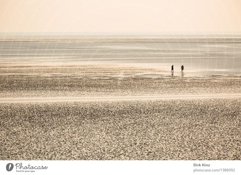 Wadden Sea Friedrichskoog Wellness Life Well-being Relaxation Calm Cure Vacation & Travel Tourism Trip Far-off places Freedom Summer Summer vacation Sun Beach