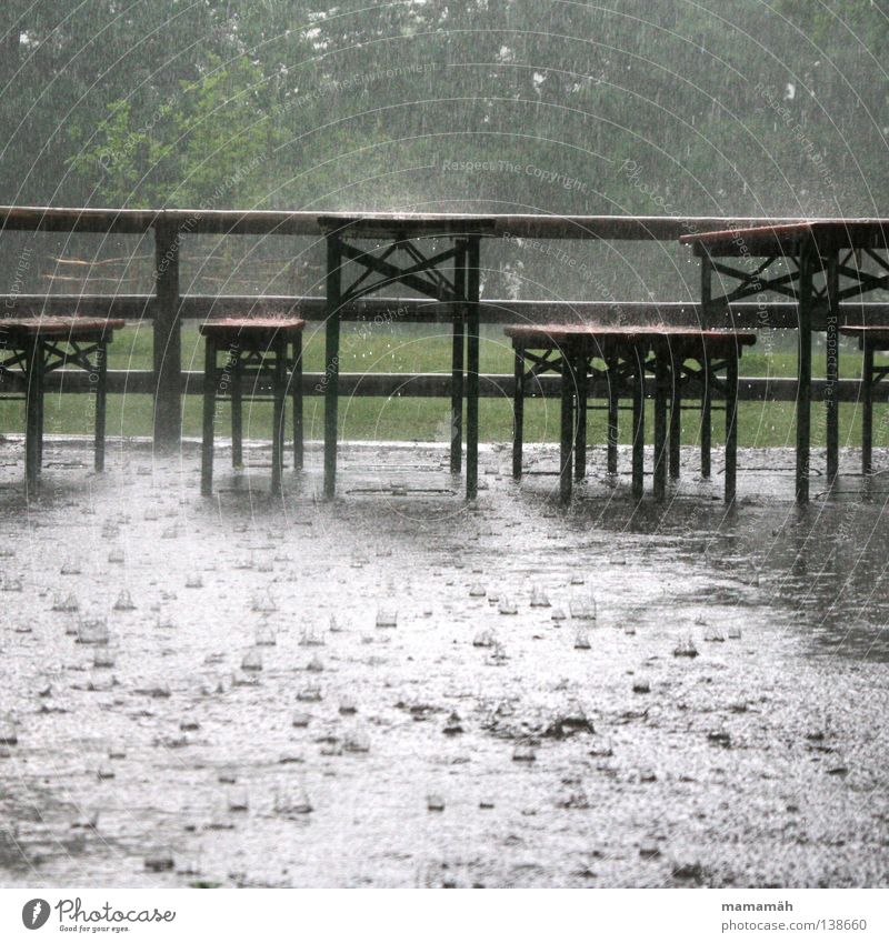 rain party Colour photo Exterior shot Trip Table Water Drops of water Weather Bad weather Storm Gale Rain Thunder and lightning Hail Tree Forest Wet Puddle