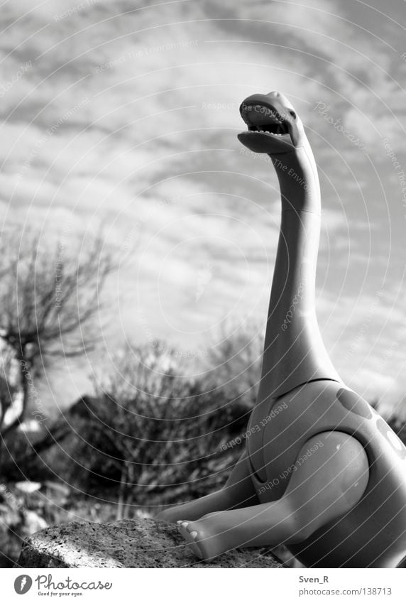 The Roar Animal Sky Scream Might Dinosaur Herbivore roarier Brachiosaurus Size Black & white photo Exterior shot