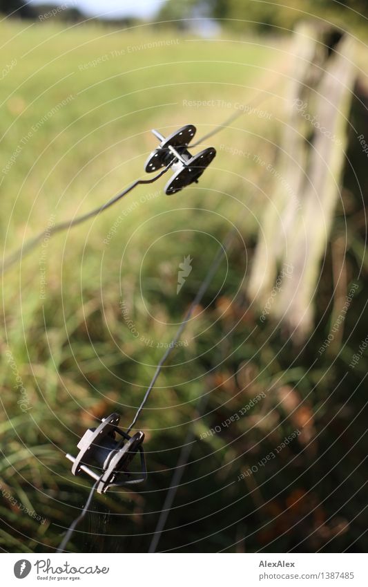 pZ 4 | Tensioner at the roadside Trip Wire Wire fence Coil tightener Nature Landscape Plant Beautiful weather Grass Meadow Lanes & trails Footpath Wooden stake