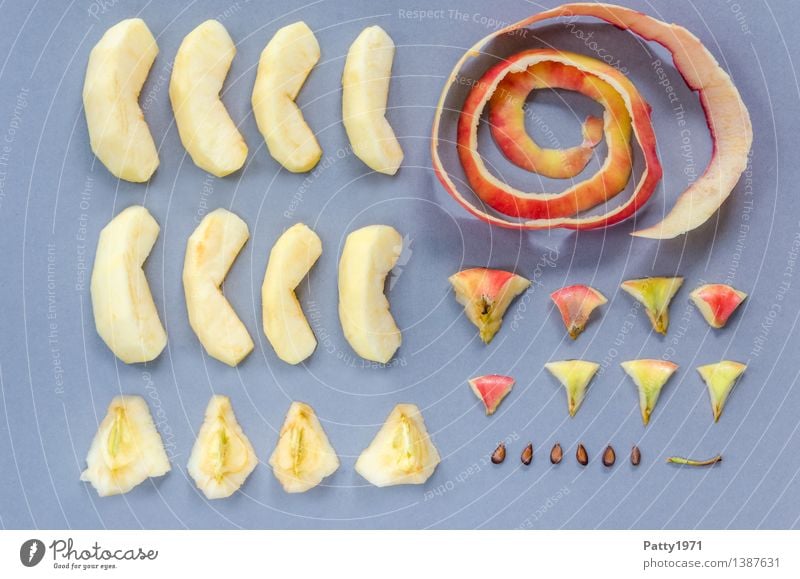 Super still life - Different parts of an apple neatly lined up and sorted by size Food Fruit Apple Apple skin Apple stalk Core Nutrition Vegetarian diet Diet