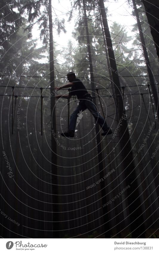 cliffhanger Joy Playing Sports Rope Human being Man Adults Arm Hand Legs Tree Forest T-shirt Pants Footwear Catch To hold on Going Dark Tall Black Safety