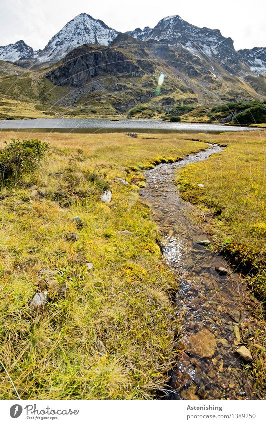 Influx to the mountain lake II Environment Nature Landscape Plant Earth Sky Clouds Autumn Weather Grass Bushes Hill Rock Alps Mountain Peak Snowcapped peak