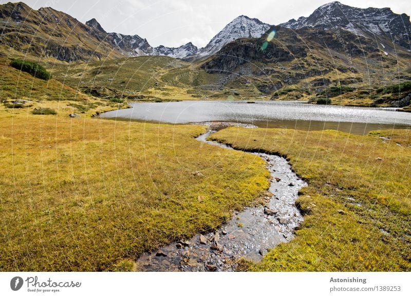 Influx to the mountain lake I Environment Nature Landscape Plant Earth Water Sky Clouds Horizon Autumn Weather Grass Bushes Meadow Hill Rock Alps Mountain Peak