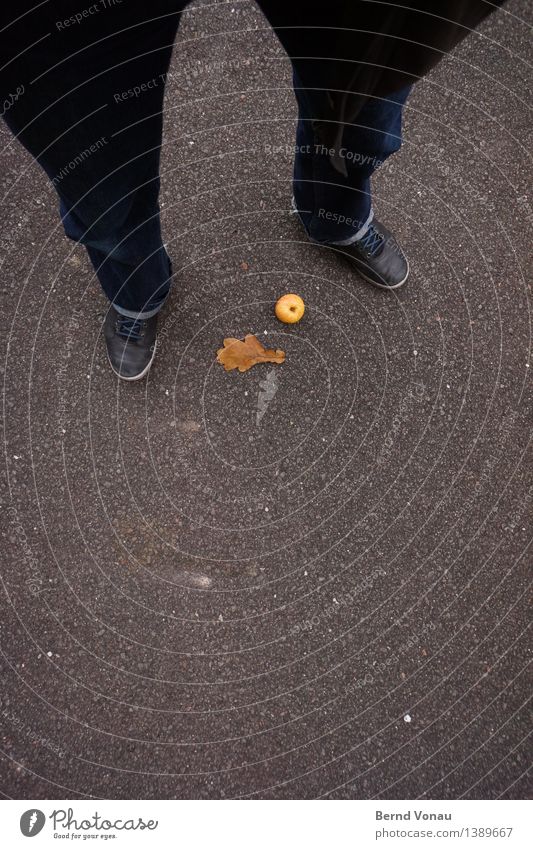 Autumn Still Life Human being Masculine Feet 1 45 - 60 years Adults Emotions Super Still Life Asphalt Apple Leaf Footwear Lie Brown Gray Black Lanes & trails