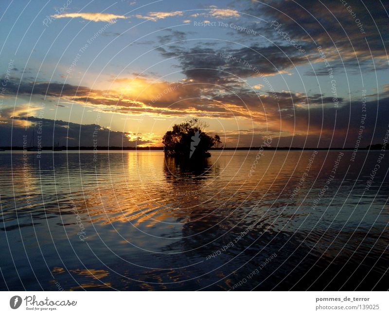 rainbow beach sunset Sunset Australia Red Yellow Loneliness Idyll Autumn Water Blue