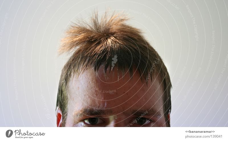 surf hairdo Hair and hairstyles Wet Damp Eyebrow Head Face Eyes Looking Water Haircut cliff diver