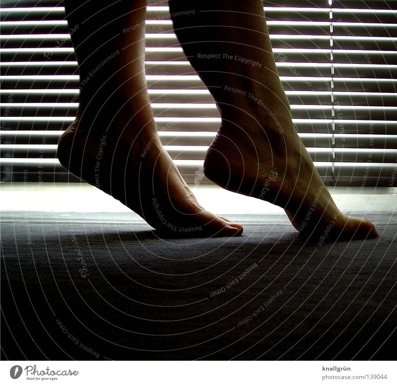 blue hour Legs Feet Tip of the toe Floor covering Carpet Dim Shadow Twilight Venetian blinds Dark Bright Slat blinds Shaft of light Feminine Woman Promising