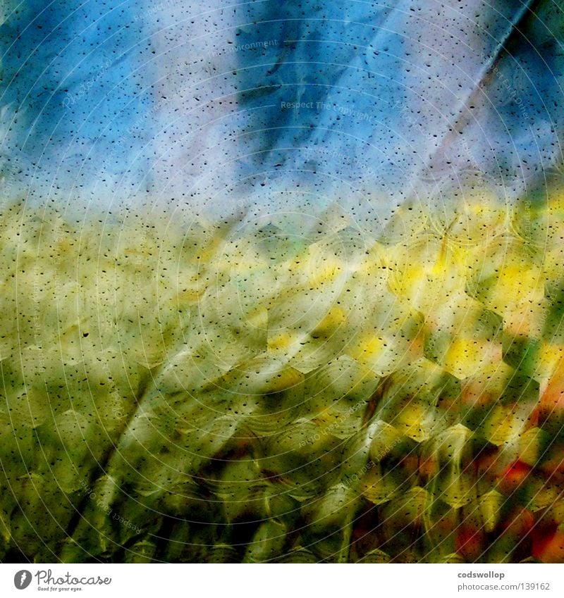 awning vista Window Abstract Bathroom Yellow Camping Pattern Furrow Wrinkles Summer awned plastic Blue shower Music festival Trip Detail corn Rain field poppy