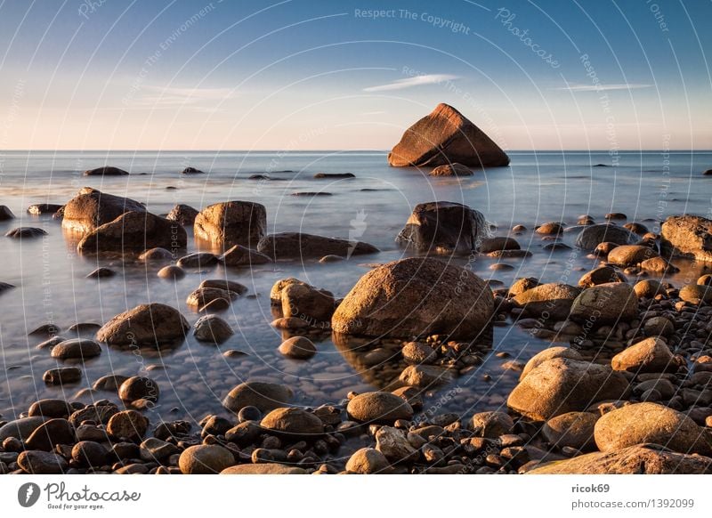 Swan stone at the Baltic Sea coast Relaxation Vacation & Travel Nature Landscape Rock Coast Ocean Stone Blue Romance Idyll Tourism Sunset Baltic coast