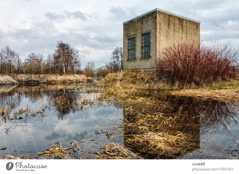 buildings Nature Landscape Clouds Tree Bushes Bog Marsh House (Residential Structure) Manmade structures Building Architecture Calm Stagnating Body of water