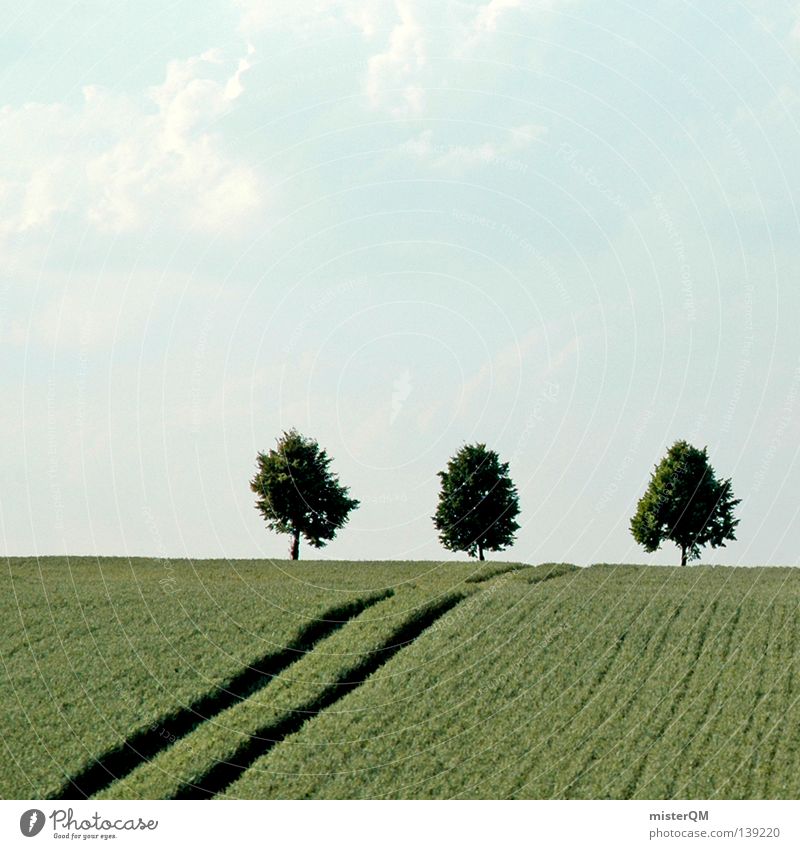 trees, fields and other nature Plant Nature Landscape Tree Land Feature Clouds Field Germany Tree trunk Avenue Treetop Weather protection Gutter Germans