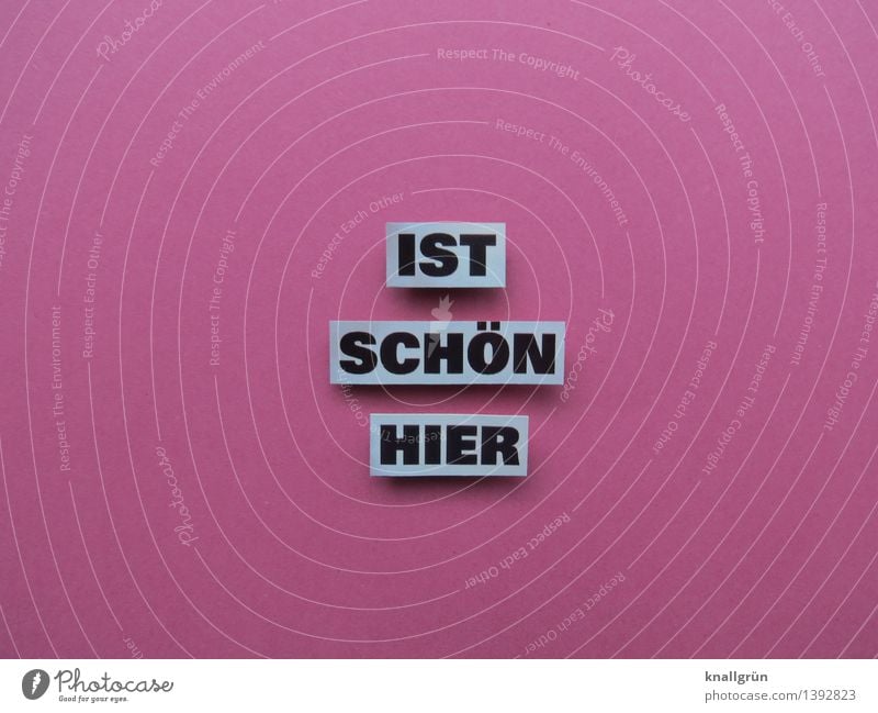 IT'S NICE HERE. Characters Signs and labeling Communicate Sharp-edged Beautiful Pink Black White Emotions Moody Joy Happy Contentment Joie de vivre (Vitality)