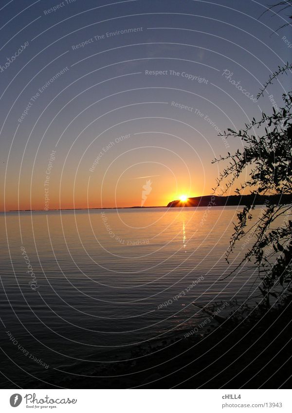 Rügen sunset Sunset Tree Ocean Water Baltic Sea Evening Reflection Sky Twig