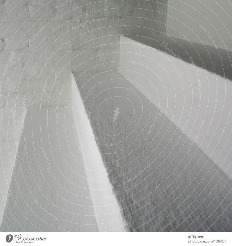 "colourful is my favourite colour." White Multicoloured Colour tone Bright Innocent Pure Neutral Infinity Peace Magnolia plants Detail Stairs achromatic Empty