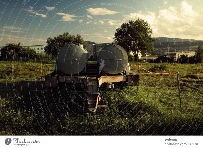 Rural on the outskirts of town Agriculture Country life Livestock Meadow Farm animal Keg Provision To feed Green Housing area Places Outskirts Fence Industry