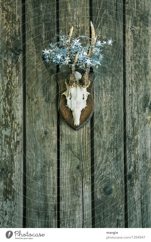 Merry Christmas! Antlers with a garland of stars hanging on a wooden wall Living or residing Decoration Feasts & Celebrations Christmas & Advent Seasons