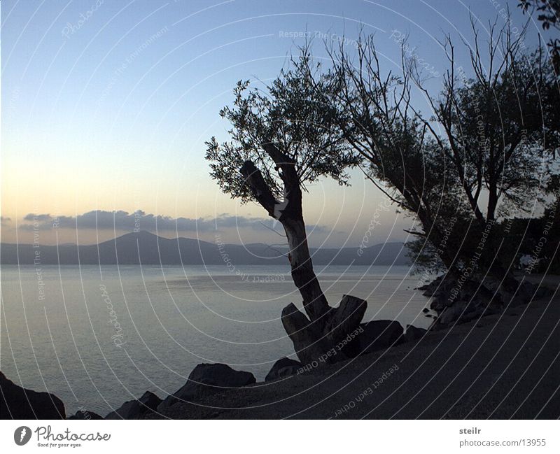 nocturnal promenade Sea promenade Lake Twilight Tree Rock Escarpment Deserted Exterior shot Calm Hill Lanes & trails