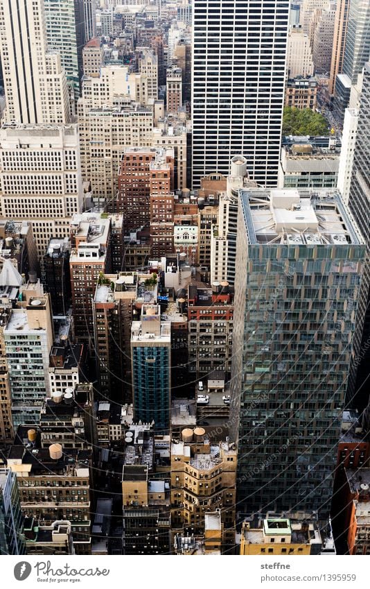 NYC |09 New York City Manhattan USA Town City life High-rise Skyline Esthetic Freedom Americas Dawn Bird's-eye view