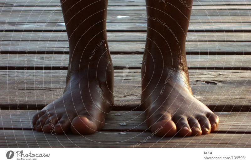 feet Toes Wet Footbridge Lake Work and employment Brian Water Swimming & Bathing Wooden board Drops of water Mecklenburg-Western Pomerania canoe Joy ...