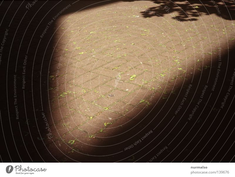 a shadow from a corner House (Residential Structure) Park Places Light Symmetry Tree Under Concrete Town Overgrown Rectangle Exit route Deserted Obscure Corner