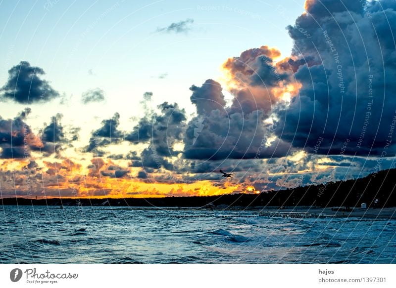 Sunrise at the Baltic Sea Ocean Nature Clouds Sunset Blue Red Black Romance Sky Dramatic Wild drama golden Surf Coast Poland Colour photo Exterior shot Deserted