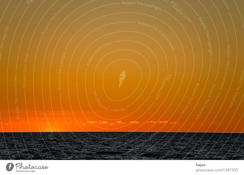 Sunset at the Baltic Sea Leisure and hobbies Vacation & Travel Ocean Sunrise Red Moody Romance Idyll golden Orange Mild tourimsus Eastern Clouds Colour photo