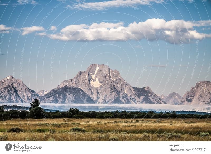 bank of fog Vacation & Travel Trip Far-off places Freedom Summer Summer vacation Mountain Nature Landscape Sky Clouds Autumn Fog Meadow Forest Rock