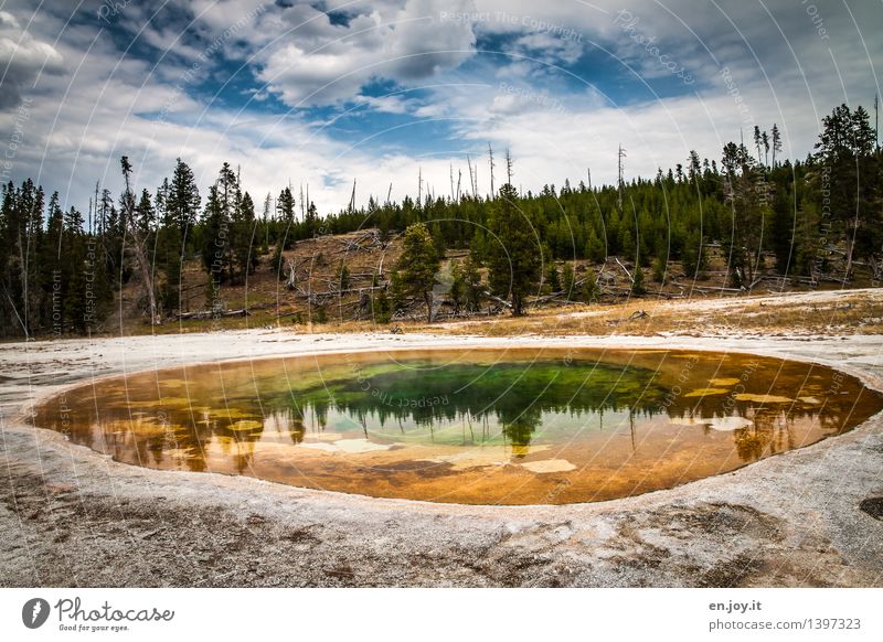 Colourful Vacation & Travel Tourism Trip Adventure Summer Summer vacation Environment Nature Landscape Sky Clouds Forest Volcano Hot springs Geyser Yellow