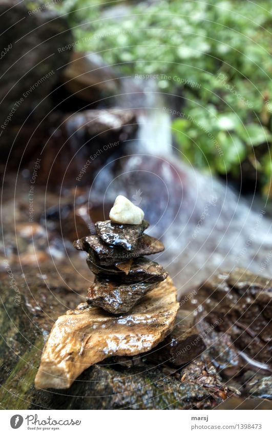 water manderl Wellness Life Harmonious Well-being Relaxation Calm Meditation Brook Cairn Stone Together Wet Stack Consecutively Road marking hiking mark