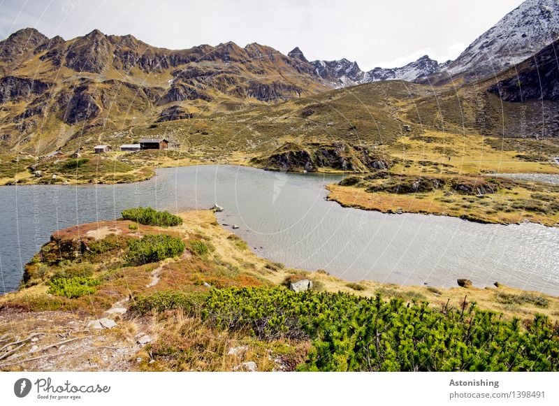 mountain hut Environment Nature Landscape Plant Air Water Sky Clouds Horizon Weather Grass Bushes Hill Rock Alps Mountain Peak Snowcapped peak Waves Lakeside