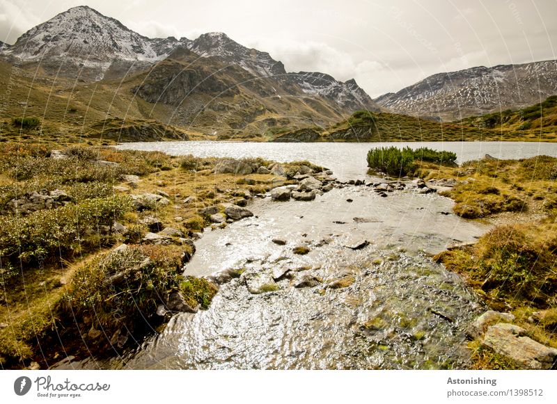 outflow Environment Nature Landscape Plant Earth Water Sky Clouds Horizon Autumn Weather Grass Bushes Moss Hill Rock Alps Mountain Peak Snowcapped peak Waves