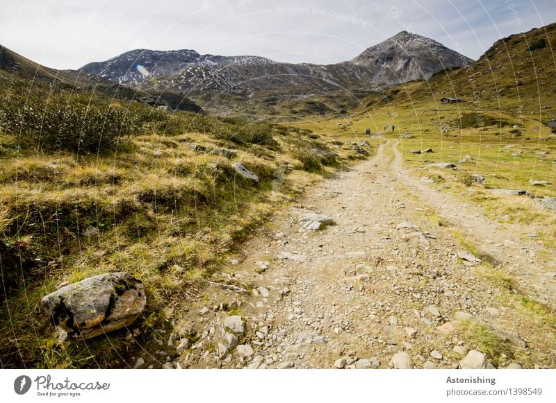 Direction summit Environment Nature Landscape Plant Air Sky Clouds Horizon Autumn Weather Grass Bushes Hill Rock Alps Mountain Peak Snowcapped peak Schladming