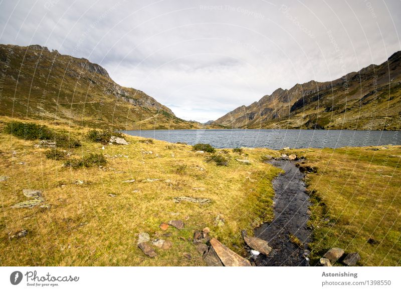 tributary Environment Nature Landscape Plant Sky Clouds Horizon Autumn Weather Grass Bushes Hill Rock Alps Mountain Peak Waves Lakeside River bank Schladming