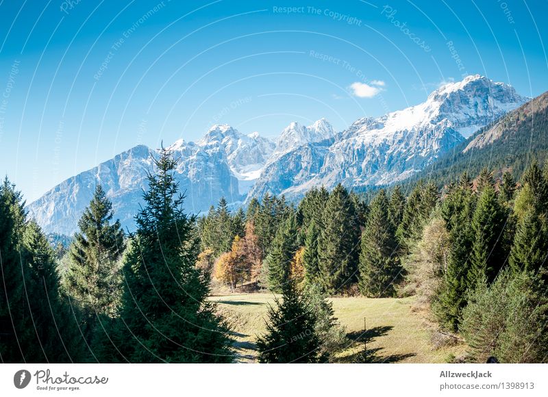 Spormaggiore Trento Italy Nature Landscape Autumn Tree Forest Alps Mountain Snowcapped peak Esthetic Blue Green Far-off places Dolomites trento Trentino