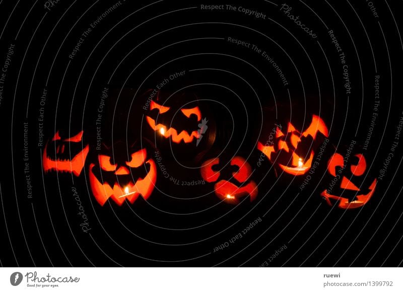 Six glowing Halloween pumpkins Food Pumpkin Leisure and hobbies Handicraft Living or residing Party Hallowe'en All Saints' Day Art Sculpture Fire Autumn