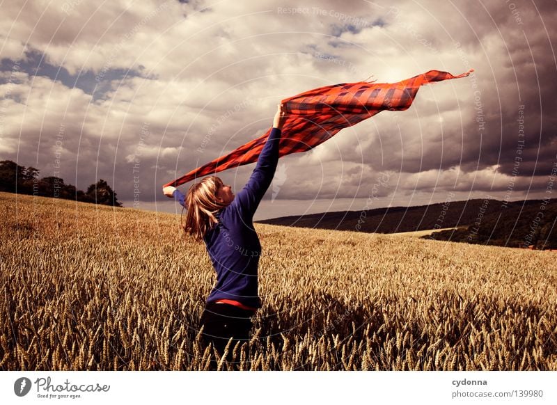 Dance in the wind Rural Agriculture Country life Life Meadow Pasture Field Landscape Land Feature Sky Green Nature To go for a walk Air Physics Warmth Idyll