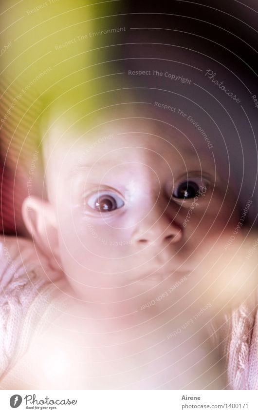 Big eyes Human being Baby Infancy Head Eyes 1 0 - 12 months Lie Looking Large Curiosity Cute Pink Joie de vivre (Vitality) Colour photo Interior shot