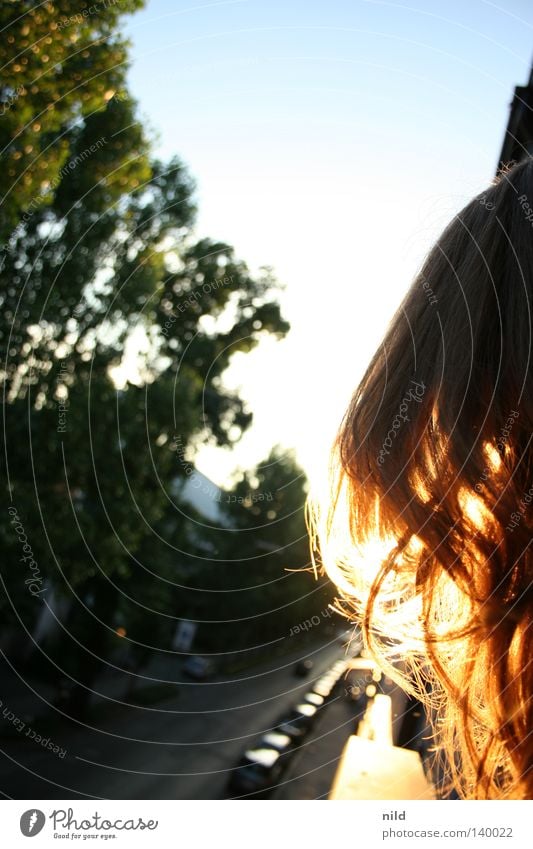 EM FINAL Summer Window board Blonde Back-light Munich Foreground Sun Portrait format Balcony Curiosity Woman selina sunset Hair and hairstyles Escape