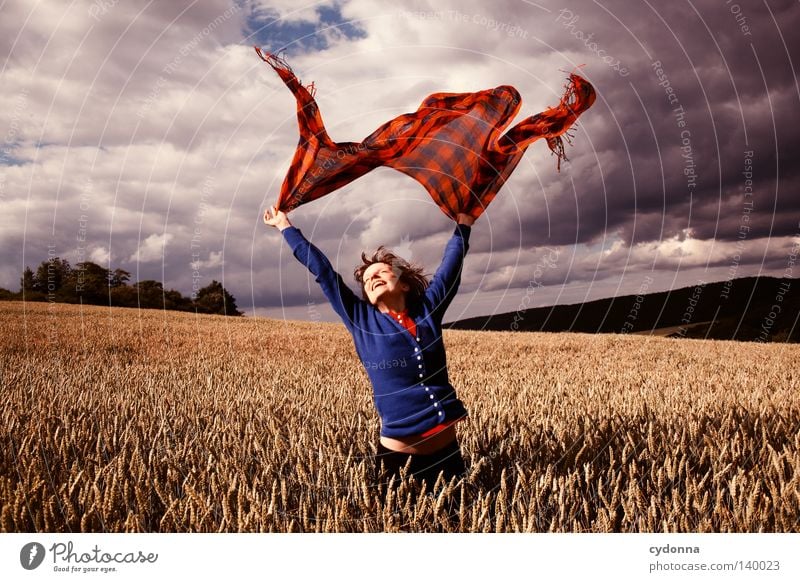 Flying Rural Agriculture Country life Life Meadow Pasture Field Landscape Land Feature Sky Green Nature To go for a walk Air Warmth Physics Idyll Contrast Swing