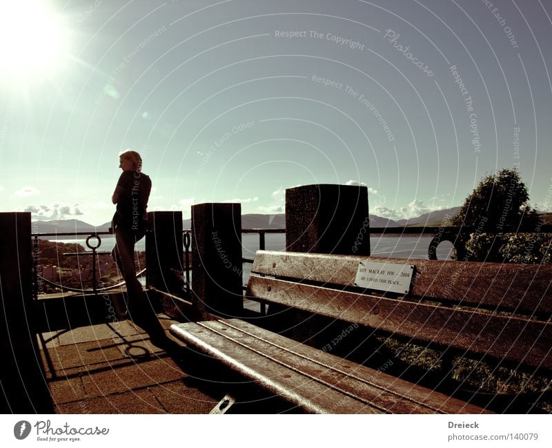 promising Scotland Highland cattle Light Sky Port Woman Sun Lighting Bright Above Vantage point Mountain Water Bench Sit Relaxation Flashy Physics England