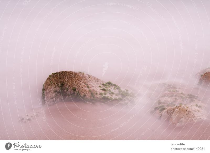 smoky rocks Fog Ocean Waves Rock Beach Sand Algae Growth Life Tripod White Bright Long exposure Peace gray filter