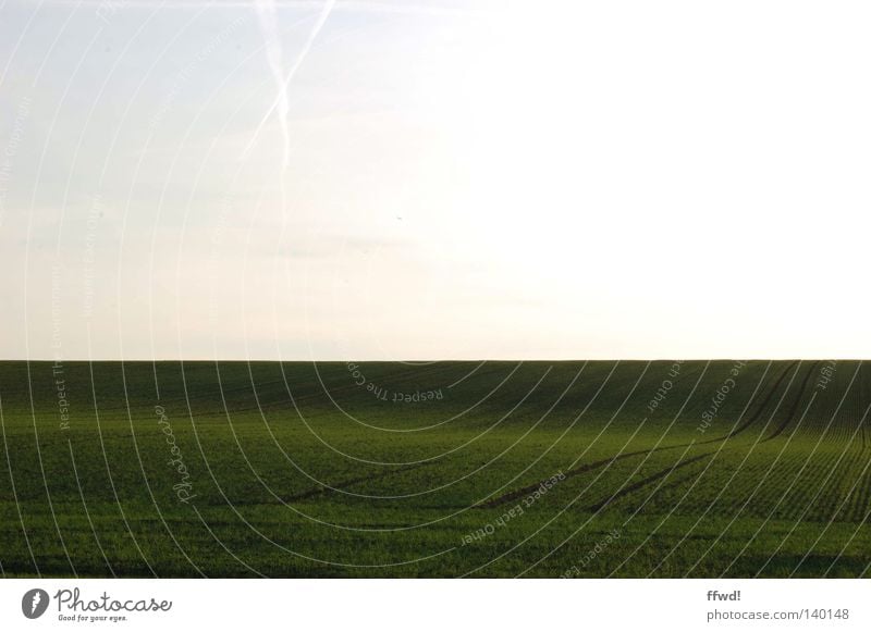 simplicity Land Feature Meadow Grass Field Green White Tracks Furrow Stripe Lanes & trails Simple Simplistic Reduced Minimal Gloomy Badlands Bleak Line Direct