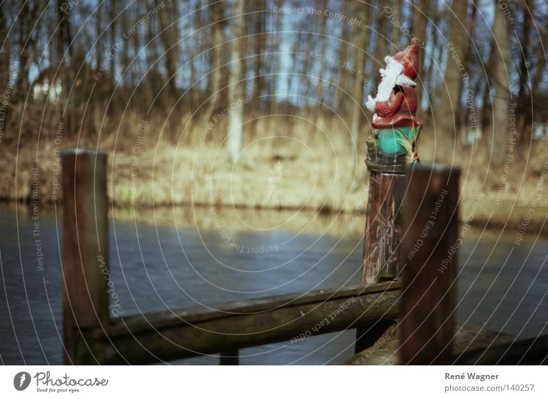 dwarf uprising Pond Austria Federal State of Styria Dwarf Harmonious Relaxation Nature Vantage point Free Peace Freedom