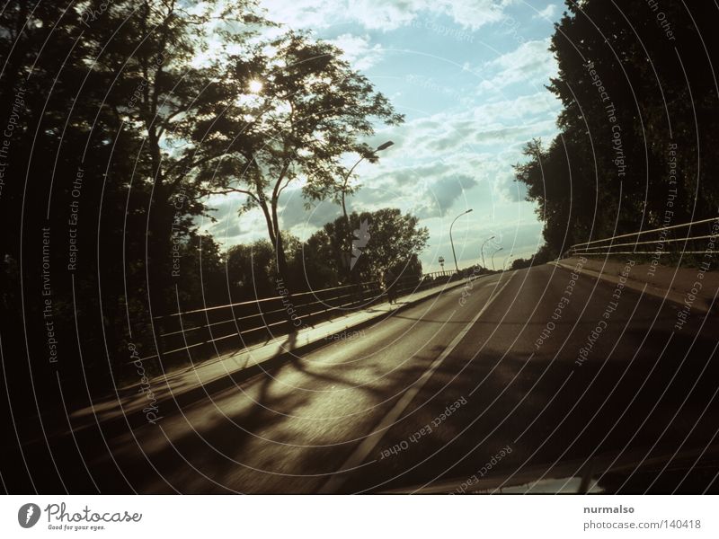 Drive into the morning Driving Morning Motor vehicle Light Street Tree Bridge railing Handrail Gold Beautiful Lanes & trails Target Travel photography