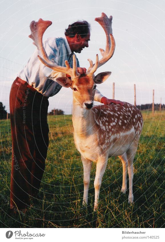 cuddles Fallow deer Meadow Wild animal Human being Animal Game park Breeder Leisure and hobbies Deer Antlers Mammal Shovel