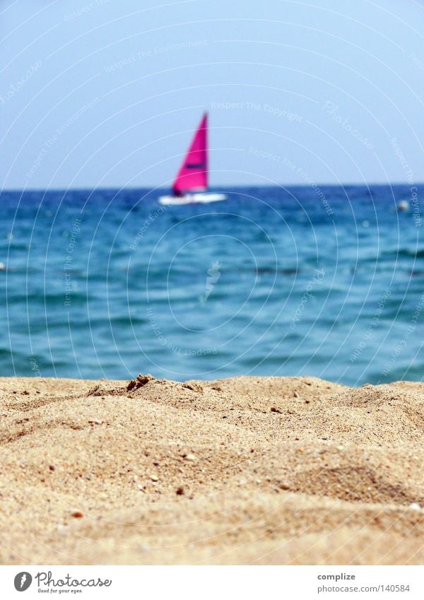 Beach times minimal Summer Watercraft Sailboat Pink Sailing Surfboard Ocean Lake Aerial photograph Sandy beach Vacation & Travel Aquatics Sailing ship